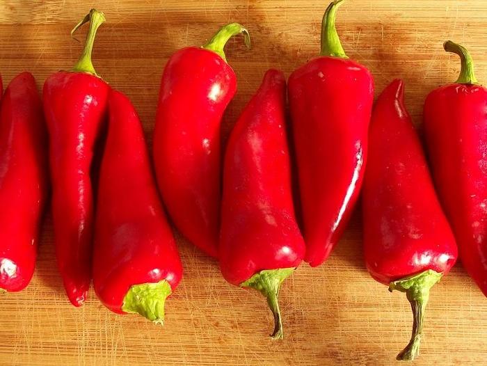 DRPB1709 - Capsicum annuum from All Seasons Nursery DRPB1709 - Capsicum annuum from All Seasons Nursery