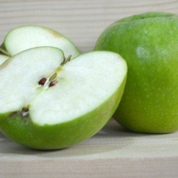 Malus domestica 'Granny Smith' (Apple) - Granny Smith Apple