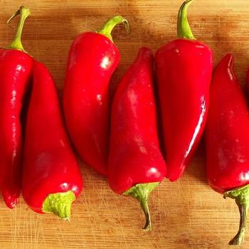 Capsicum annuum - DRPB1709